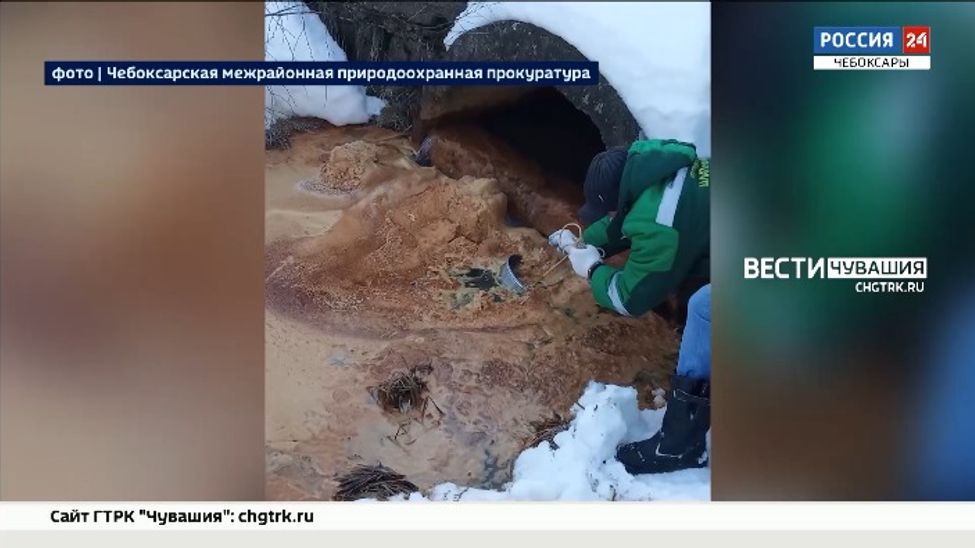 Чебоксарская прокуратура выясняет причину замора рыбы в реке Кукшум Чебоксарская прокуратура выясняет причину замора рыбы в реке Кукшум