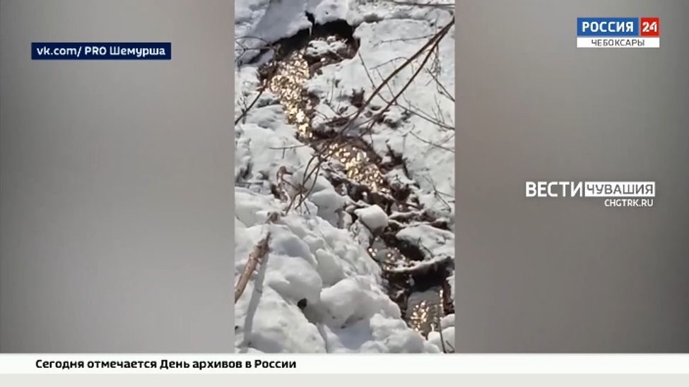В Шемурше нечистоты из канализационного колодца отравляют реку Малая Карла В Шемурше нечистоты из канализационного колодца отравляют реку Малая Карла