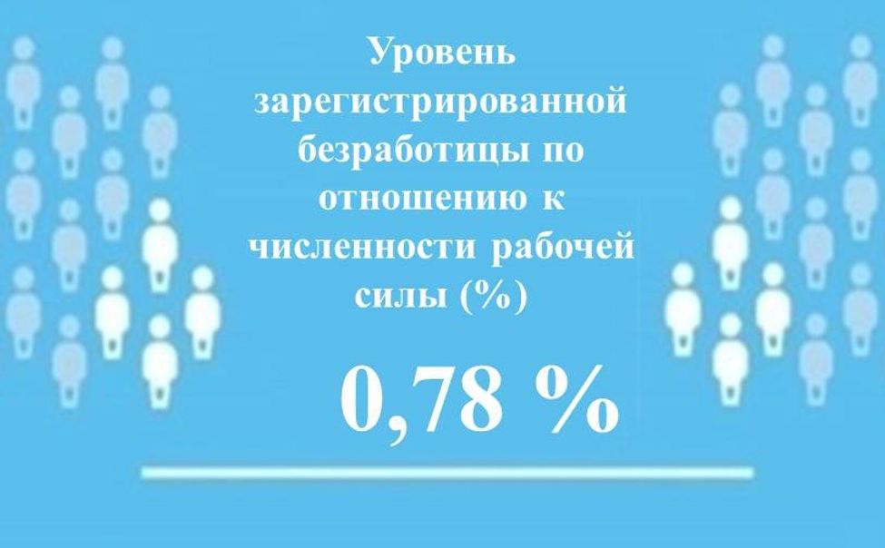 Уровень зарегистрированной безработицы в Чувашии составил 0,78% Уровень зарегистрированной безработицы в Чувашии составил 0,78%