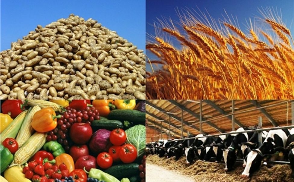 С начала года аграрии Чувашии произвели продукции на 7 млрд рублей С начала года аграрии Чувашии произвели продукции на 7 млрд рублей