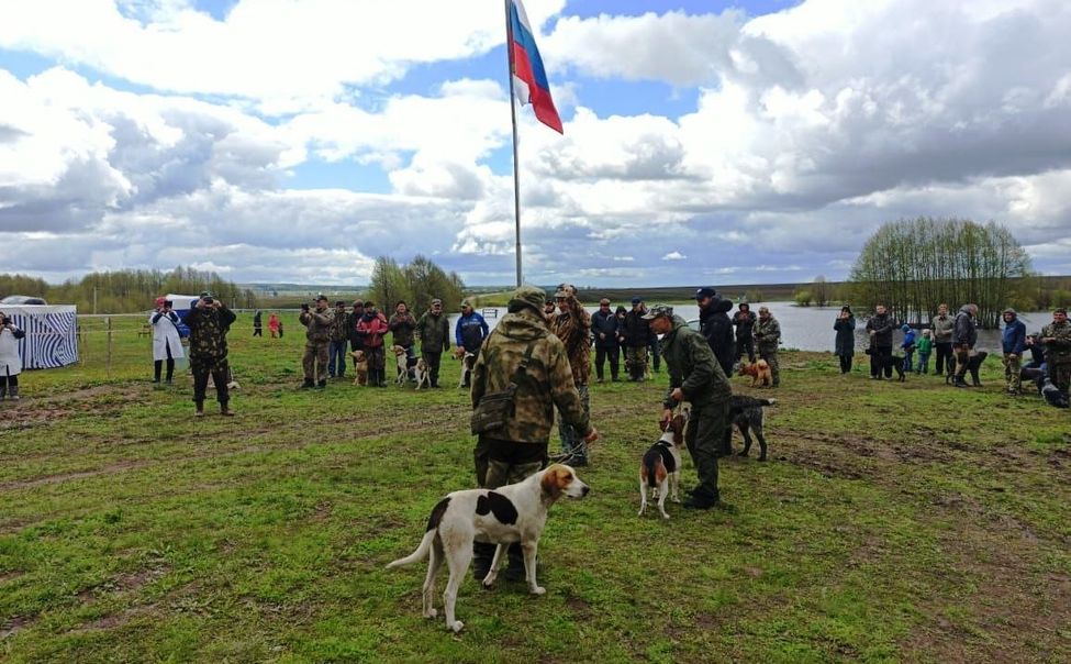 В Чувашии состоялась выставка собак охотничьих пород В Чувашии состоялась выставка собак охотничьих пород
