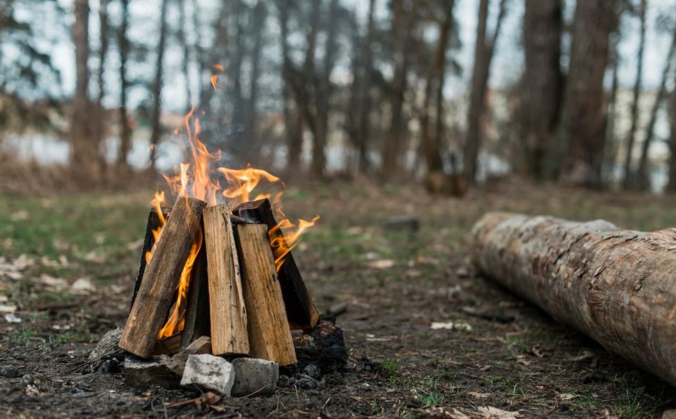 В Чувашии на 3 недели закроют леса из-за повышенной пожароопасности 