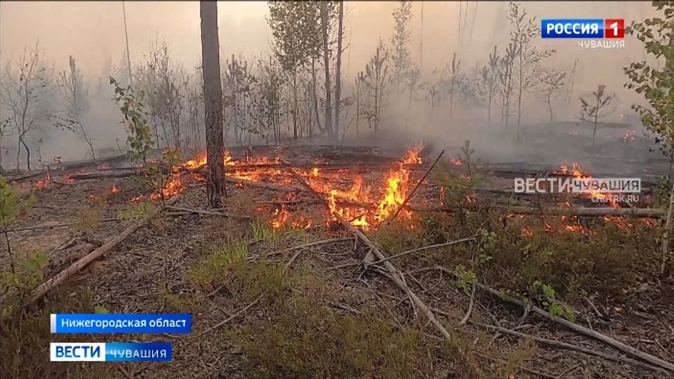 Пожары в нижегородской области карта