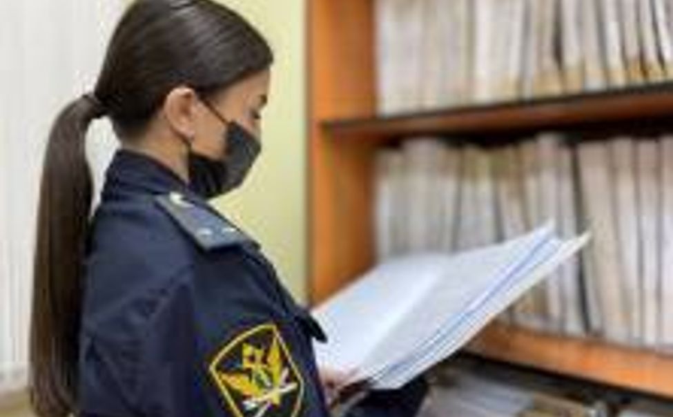 Чебоксарец выплатил 2,5 млн рублей долгов только после ареста "Лексуса" и земельного участка Чебоксарец выплатил 2,5 млн рублей долгов только после ареста "Лексуса" и земельного участка