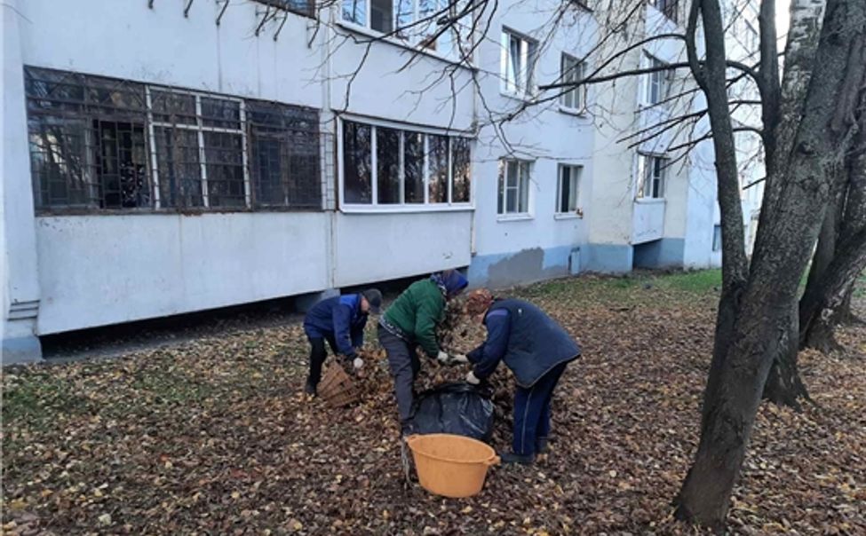 В Чебоксарах продолжаются осенние экологические мероприятия - ГТРК Чувашия