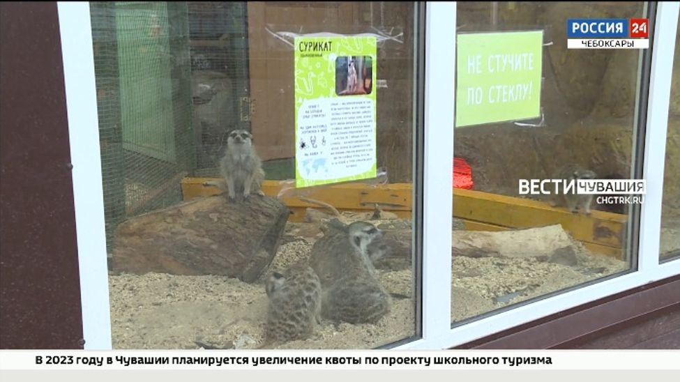 В Чебоксарах животные зооуголка "Ковчег" переехали в обогреваемые вольеры В Чебоксарах животные зооуголка "Ковчег" переехали в обогреваемые вольеры