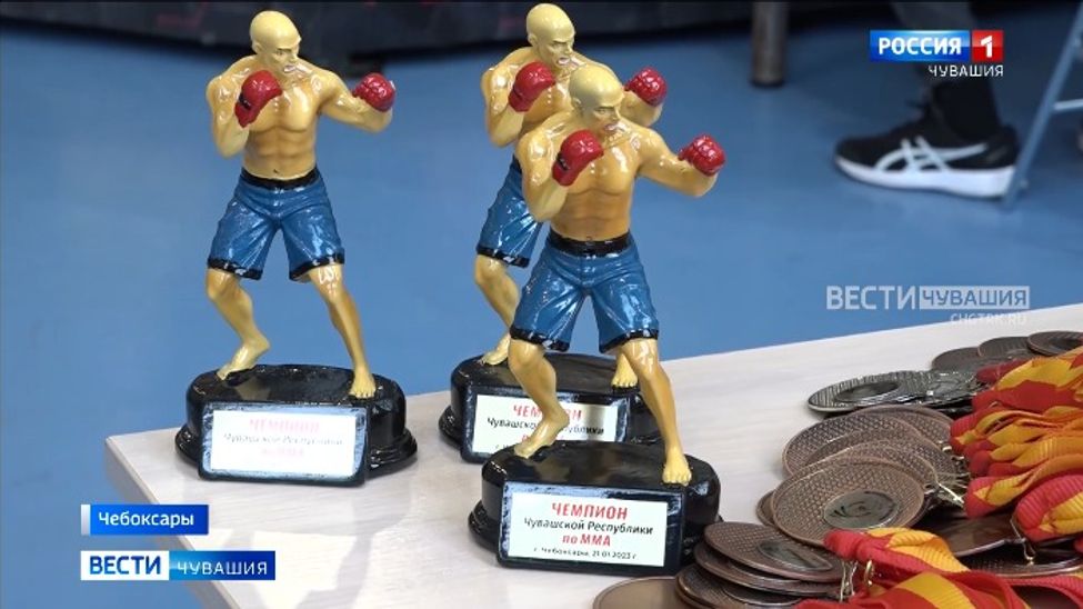 Представители ММА разыграли награды чемпионата Чувашии Представители ММА разыграли награды чемпионата Чувашии