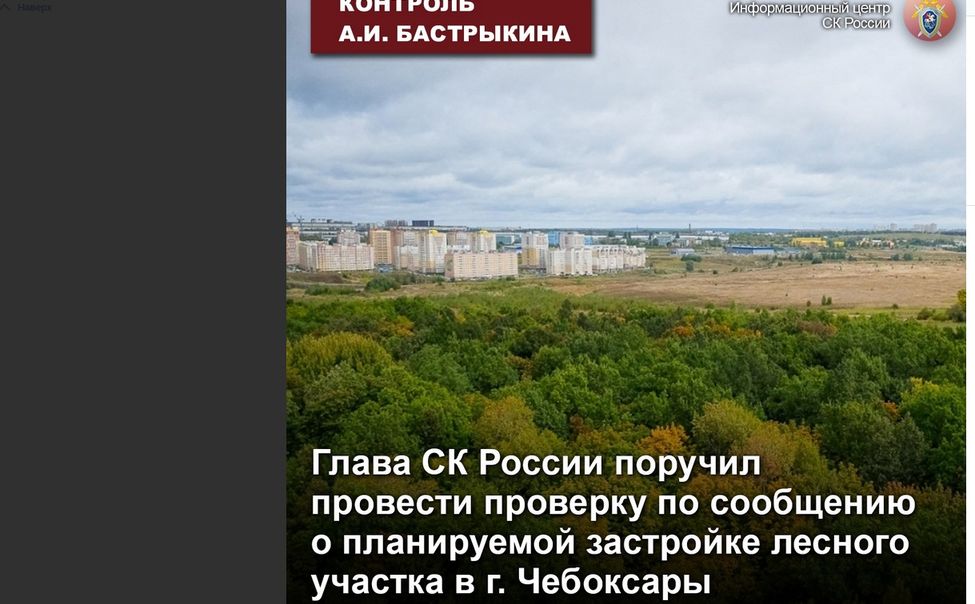 Бастрыкин поручил провести проверку по сообщению о планируемой застройке лесного участка в г. Чебоксары