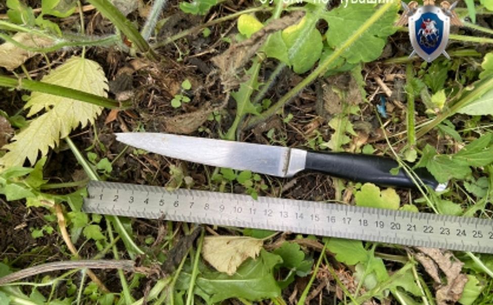 В Чувашии осудили мужчину, напавшего с ножом на двоих сельчан с ножом и убившего одного из них