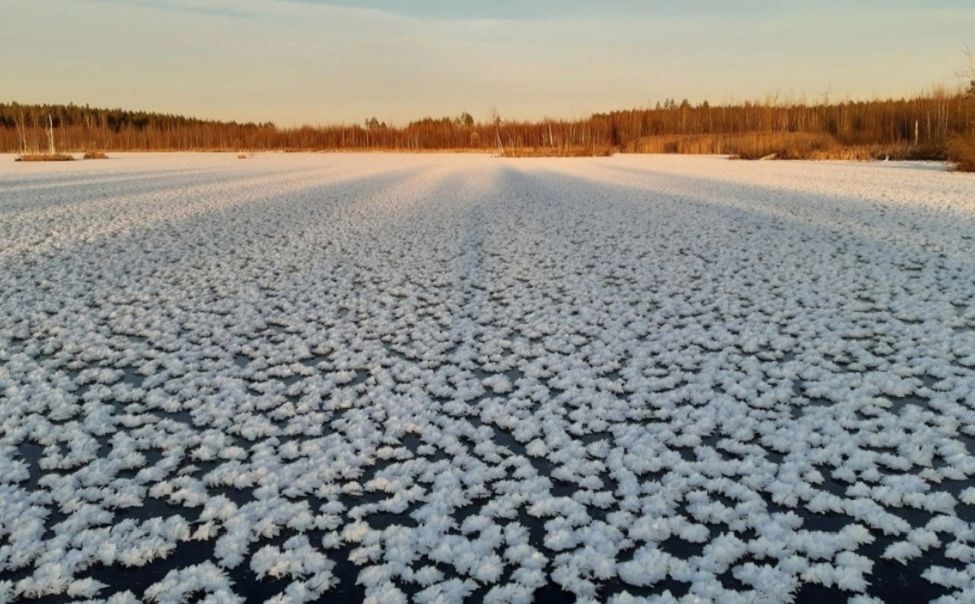 В окрестностях Алатыря на торфяном озере "зацвела" ледяная поляна