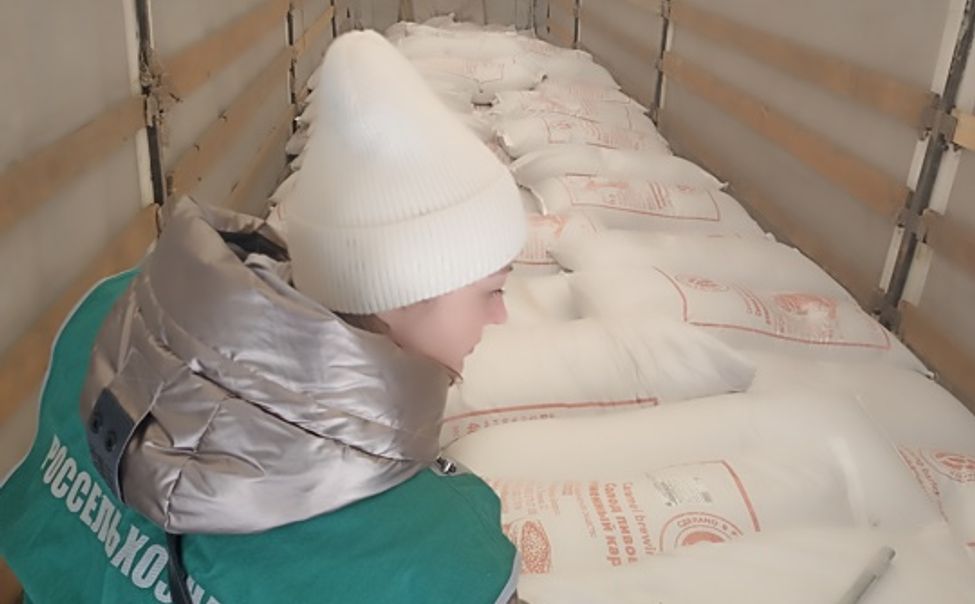 За два месяца из Чувашии в Беларусь экспортировано более 500 тонн лука-севка 