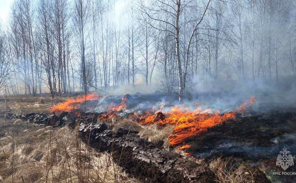 Пожарные Чувашии напоминают об опасности пала сухой травы
