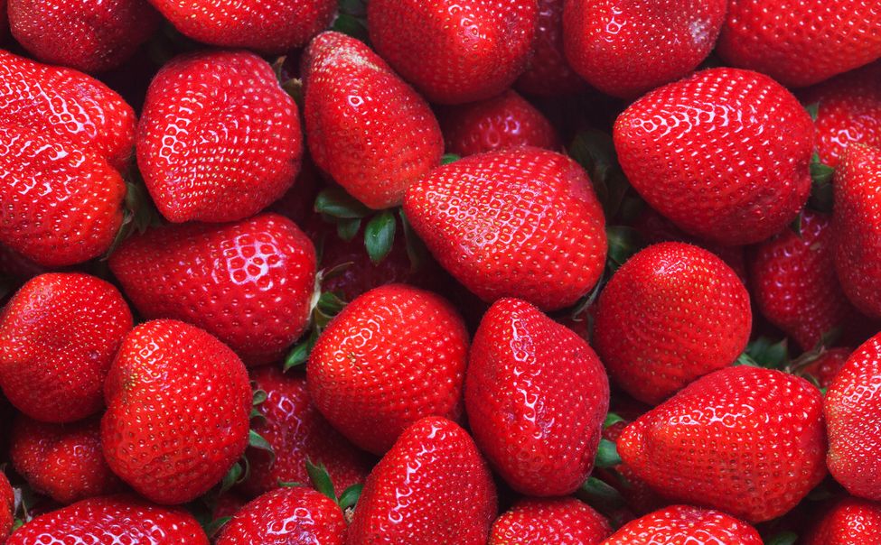 Жители Чувашии выбрали название для Фестиваля ягоды