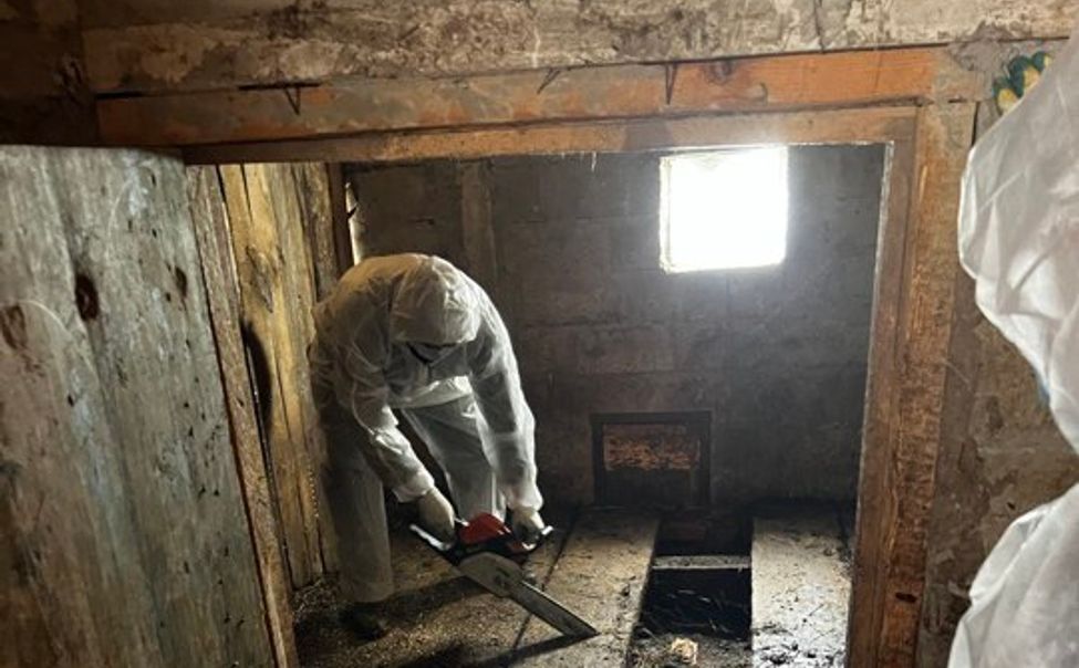 В Чувашии зачистили очаг обнаружения сибирской язвы