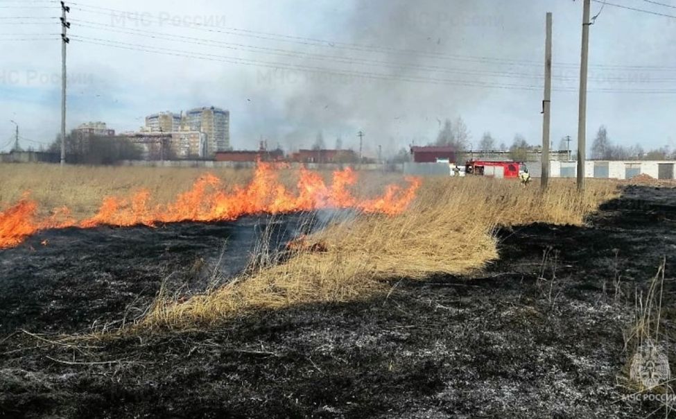 В Батыревском округе пламя уничтожило сухостой на площади 5 тыс. кв. метров