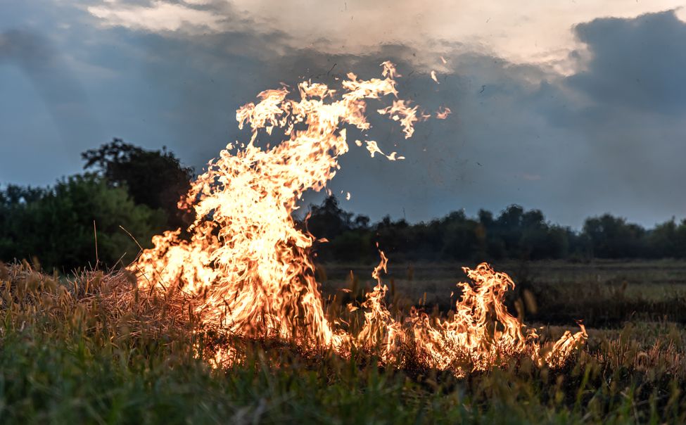 В Чувашии участились случаи возгорания сухой травы