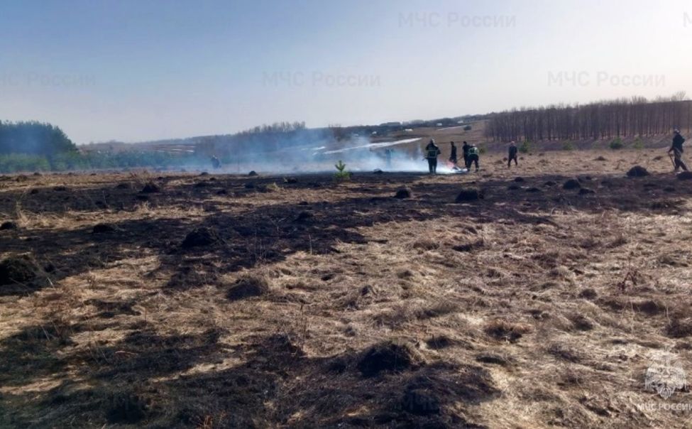В Чувашии за сутки пожарные ликвидировали 6 возгораний сухой травы