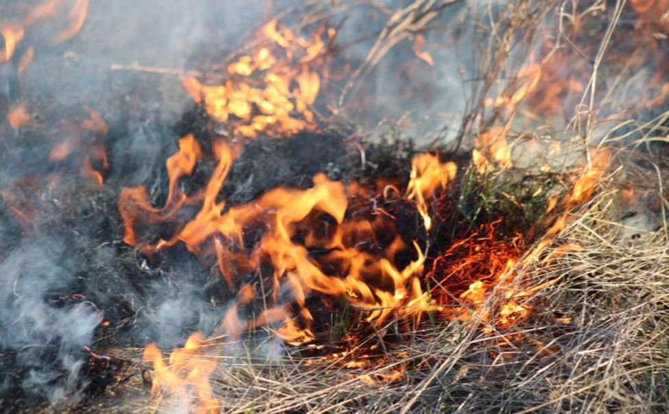 В Чувашии ликвидировали первый в этом году лесной пожар
