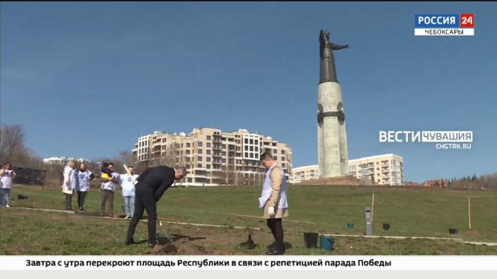 В Чебоксарах у монумента Матери высадили аллею из гортензий В Чебоксарах у монумента Матери высадили аллею из гортензий