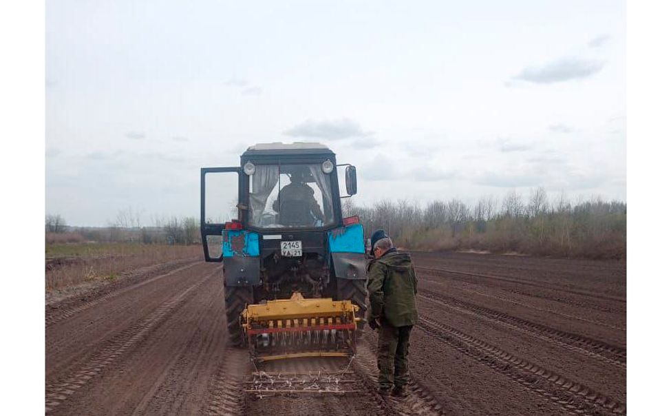 В лесных питомниках Чувашии приступили к посеву семян лесных растений