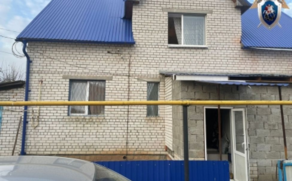 В Новочебоксарске 6 детей отравились угарным газом из-за птицы, попавшей в дымоход
