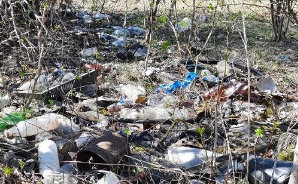 В лесах Порецкого округа выявили несанкционированные свалки отходов