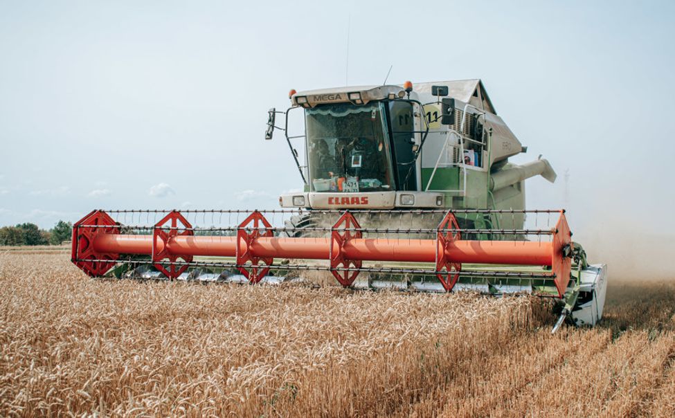 Чувашия на поддержку производителей зерновых получила 57 млн рублей 