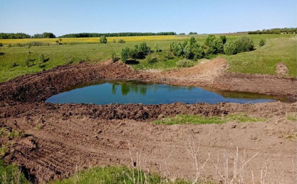 По инициативному проекту в Красночетайском округе очистили пруд