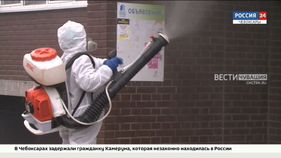 Чебоксарам из-за нашествия «лютых» комаров требуется повторная дезинсекция Чебоксарам из-за нашествия «лютых» комаров требуется повторная дезинсекция