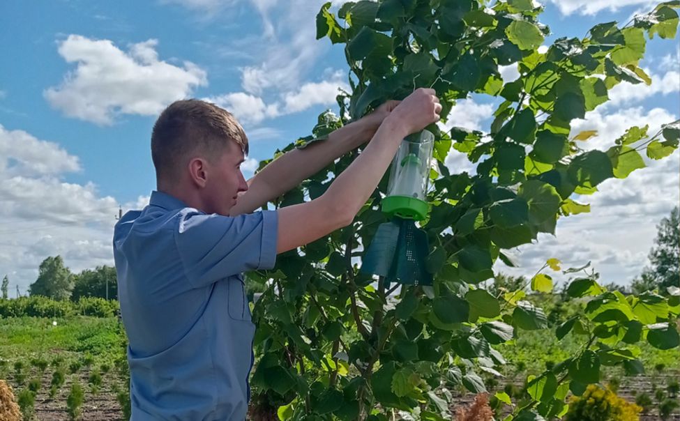 В Чувашии устанавливают фитосанитарные ловушки для "сельхозхищников"