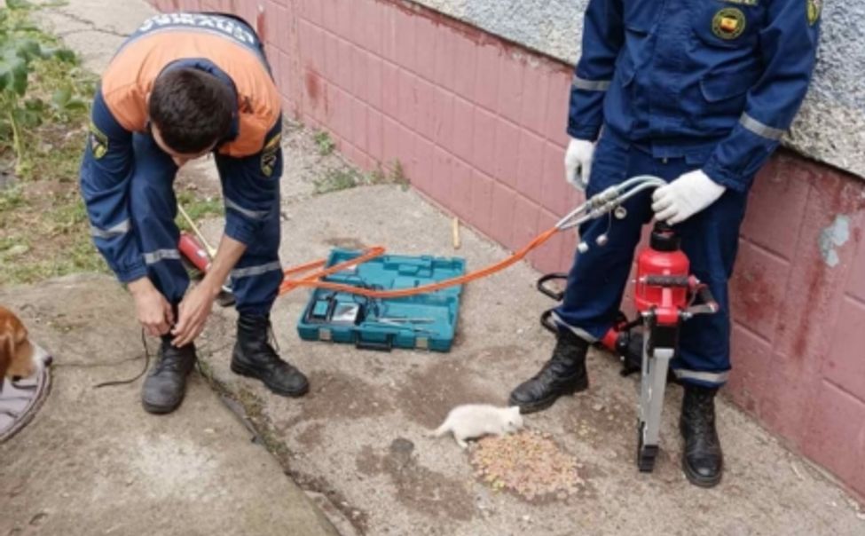 Спасатели Чувашии достали котенка из трещины отмостки жилого дома