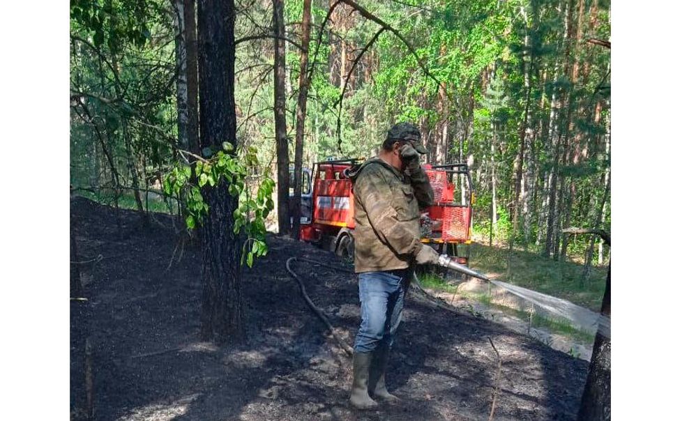 В Алатырском округе из-за неосторожности при курении произошел лесной пожар