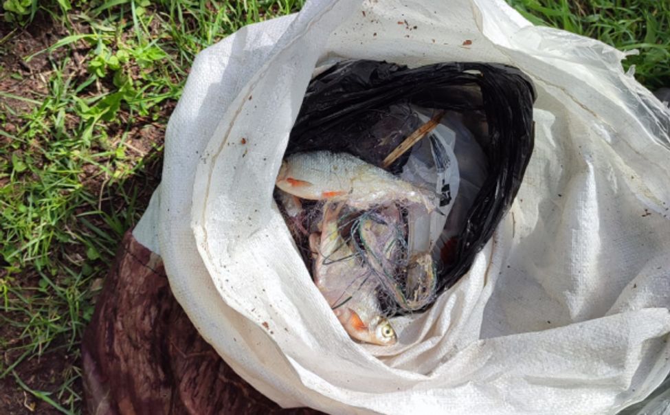 В Чувашии поймали браконьера, выловившего сетью 175 рыб