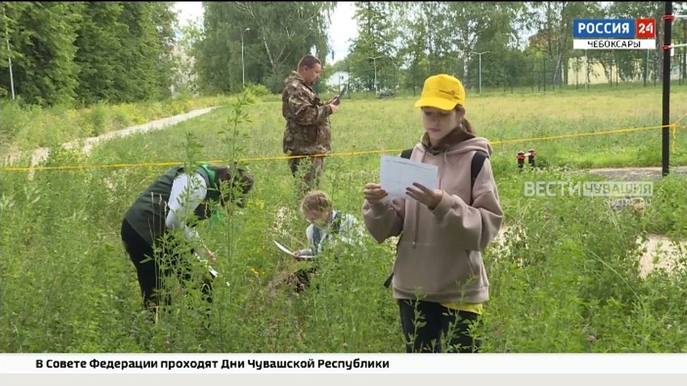 Проект школьное лесничество