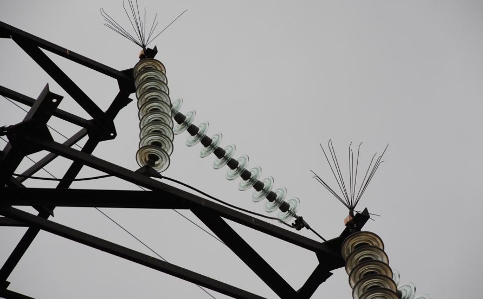 В Чувашии энергетики установят 150 птицезащитных устройств на ЛЭП В Чувашии энергетики установят 150 птицезащитных устройств на ЛЭП