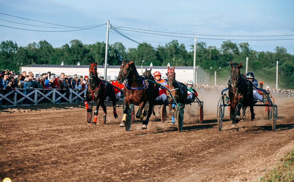 Конные бега в Новочебоксарске собрали более 10 тысяч зрителей