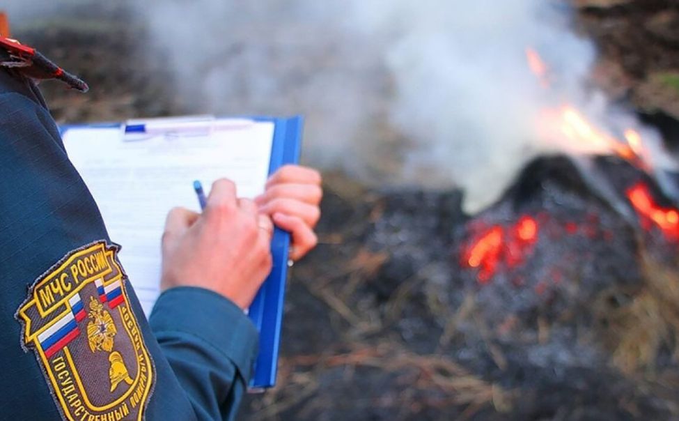 В этом году в Чувашии зарегистрированы 105 ландшафтных пожаров