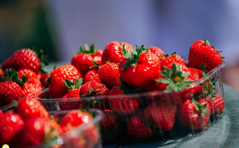 В Чувашии впервые пройдет ягодный фестиваль 