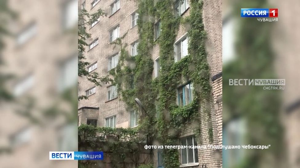 Мобильный репортер. Выпуск от 22.07.2023 Мобильный репортер. Выпуск от 22.07.2023