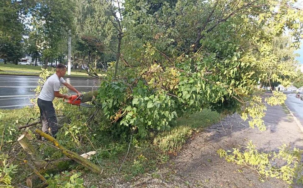 Правительство Чувашии окажет поддержку муниципалитетам, пострадавшим от урагана