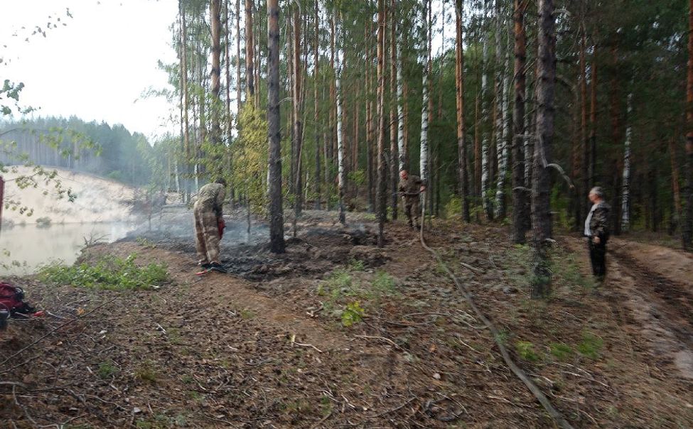 В Алатырском лесничестве ликвидировали лесной пожар