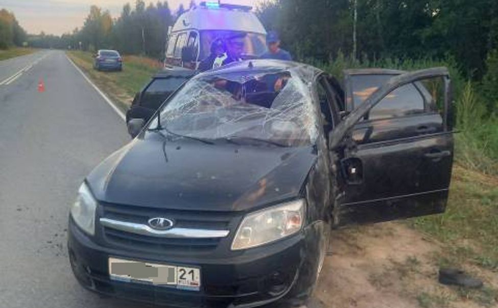 В Шумерлинском округе водитель легковушки погиб, вылетев в кювет