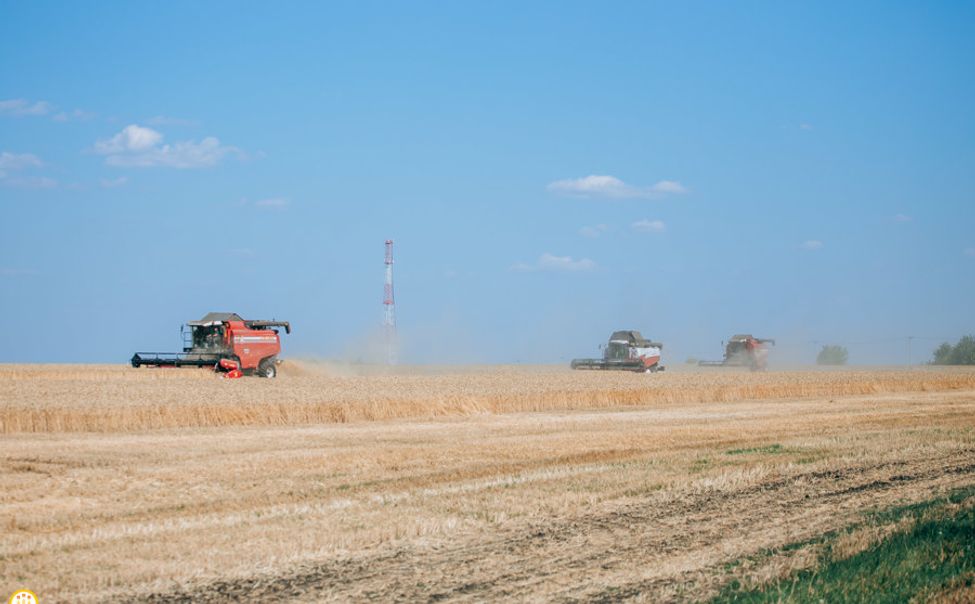 Сельхозтоваропроизводителям Чувашии предоставили более 2 млрд рублей господдержки