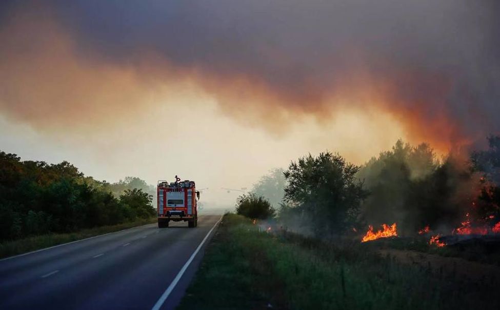 Жители Чувашии будут узнавать о лесных пожарах через "Госуслуги"