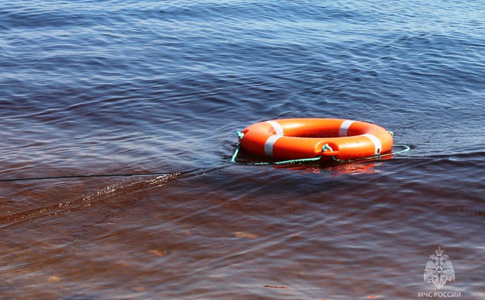 В Аликовском округе рыбак утонул в пруду