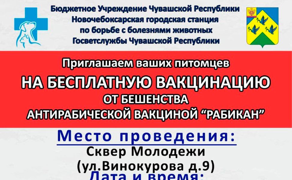 19 сентября в Новочебоксарске бесплатно привьют животных от бешенства