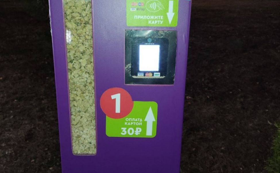 В чебоксарском парке «Амазония» появился автомат для кормления уток