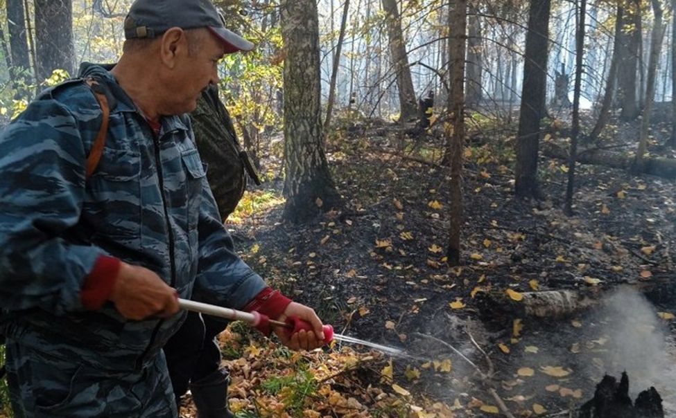 В Чувашии потушены два лесных пожара