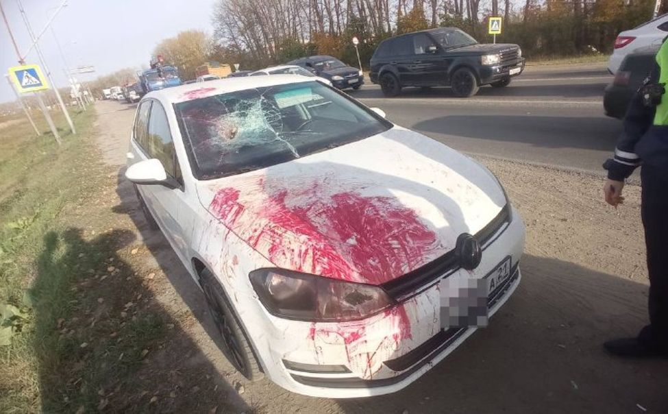 Недалеко от Чебоксар иномарка с топором в лобовом стекле сбила человека