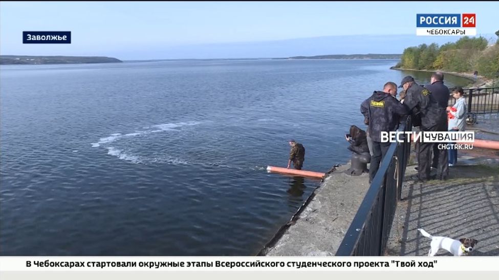 В Чебоксарское водохранилище выпустили более 38 тысяч мальков стерляди и сазана В Чебоксарское водохранилище выпустили более 38 тысяч мальков стерляди и сазана